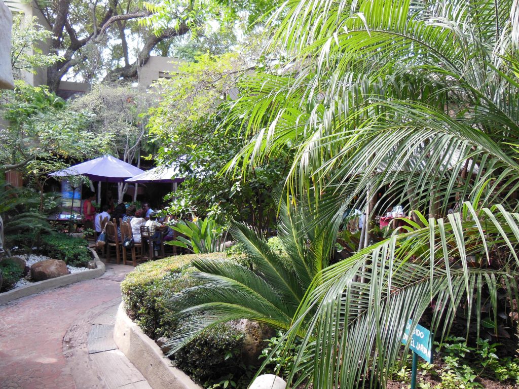 メキシコカフェの開放的なカフェ